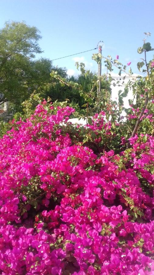 Pensao Algarve Bed & Breakfast ซง บราส เด อัลปอร์เตล ภายนอก รูปภาพ